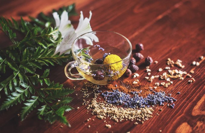 These 7 Amazing Herbs Will Get You Back on Track!