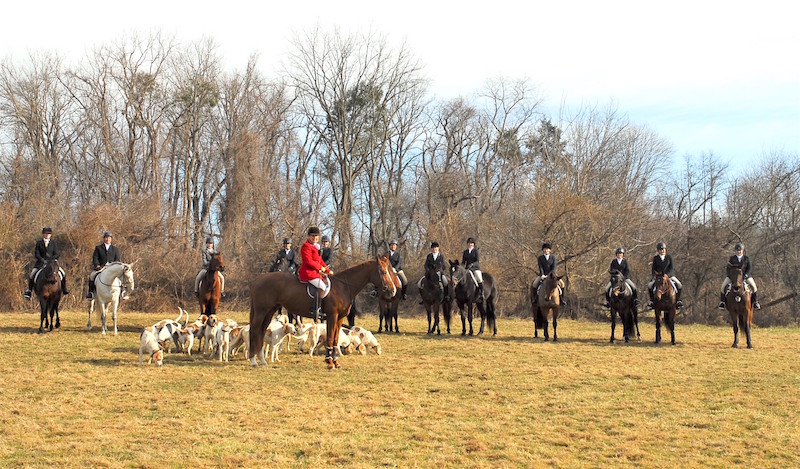 Off-Track Standardbreds Get Their Day In The Field