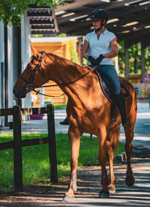 10 Important Facts about Horseback Riding Helmets