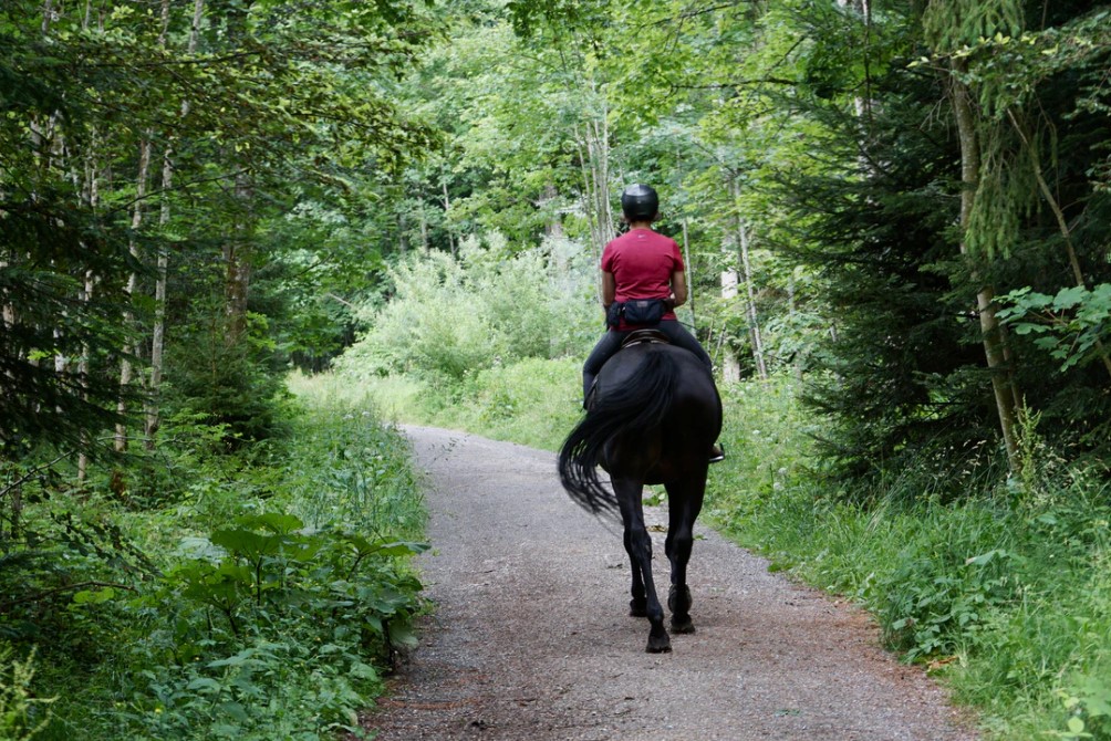 Planning a Holiday on Horseback