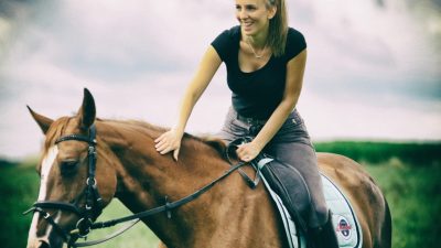 What You Should Know When Buying a Horse