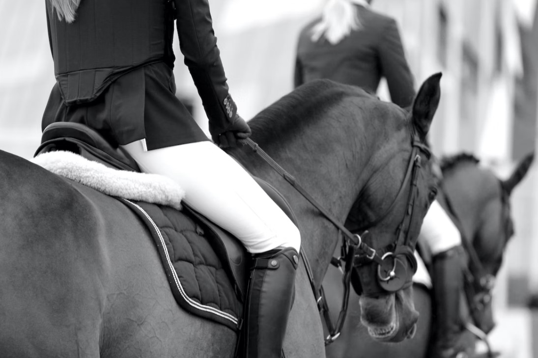 Fashion Forward in the Dressage Show Ring